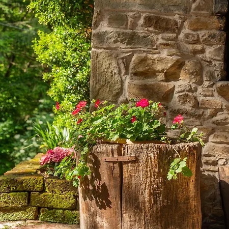 Buriconti - Peaceful Countryside Retreat
